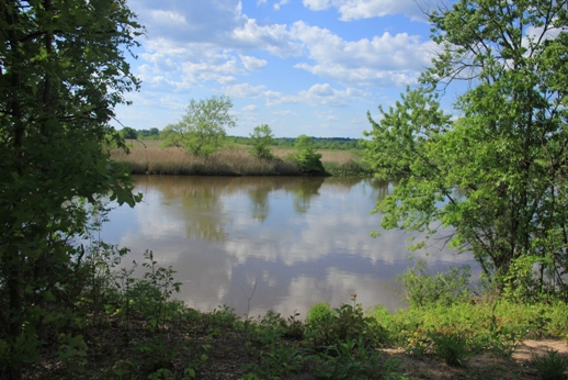 Bordentown Bluffs Trails – Bordentown, NJ