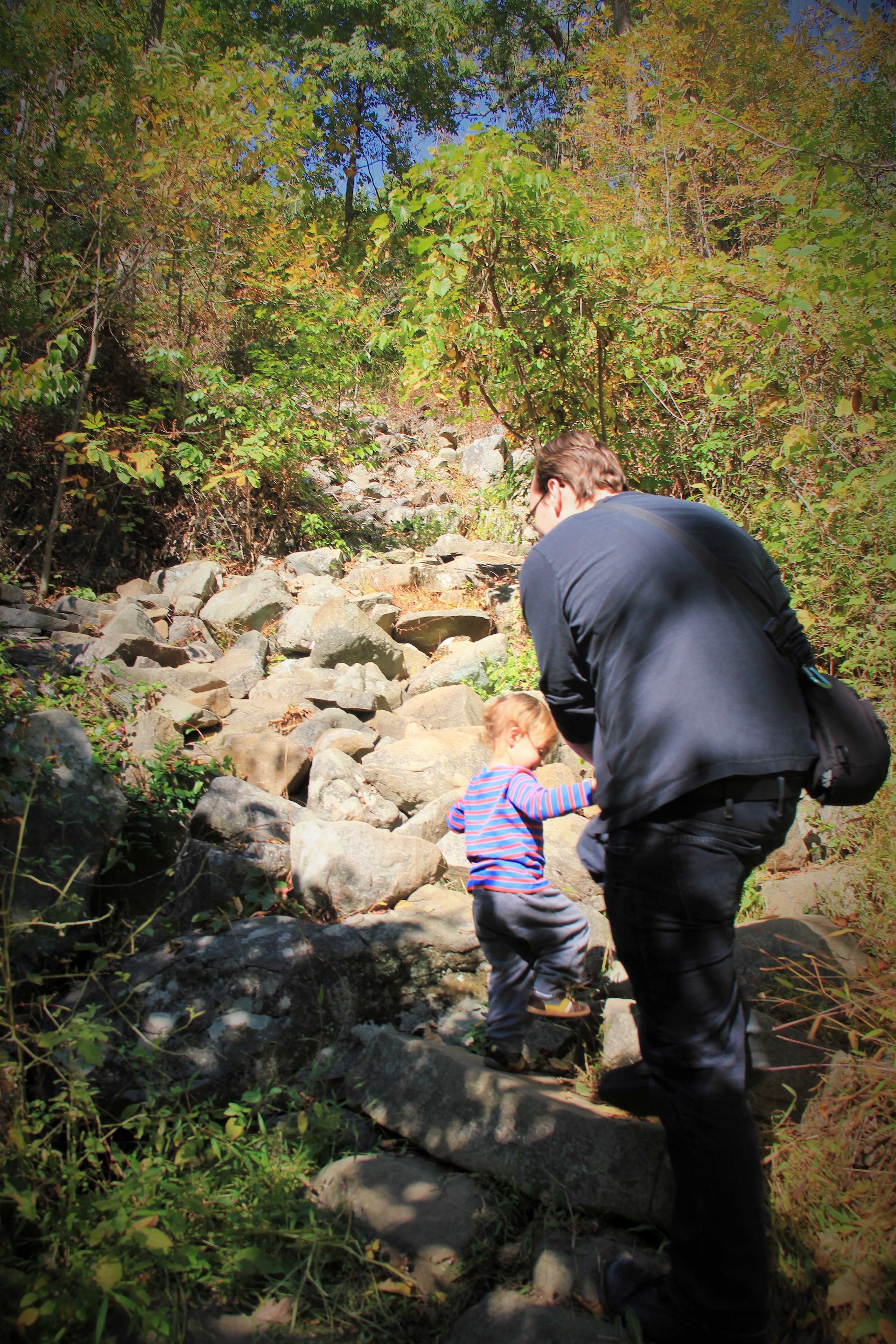 Ted Stiles Preserve at Baldpate Mountain, Titusville, NJ