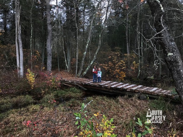 Whitesbog Hiking Trails – Pemberton, NJ