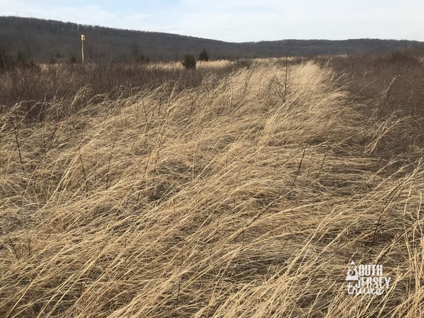 Fiddler’s Creek Preserve – Titusville, NJ