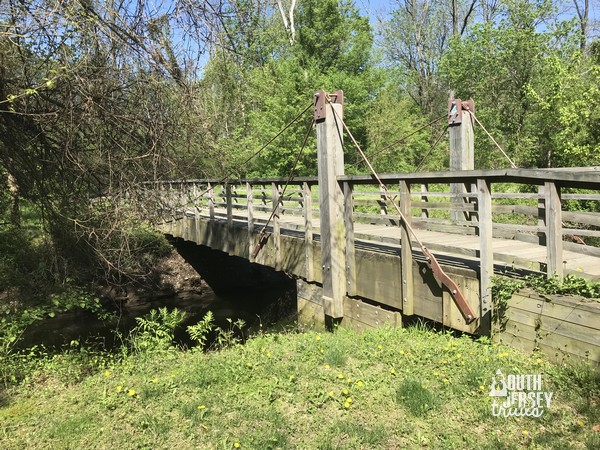 D&R Canal State Park – Abbot Marshlands – Bordentown, NJ