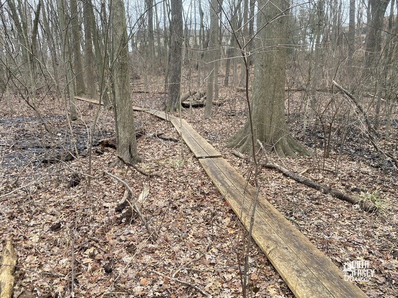 Thomas Paine Trail – Cherry Hill, NJ