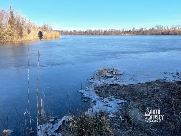 DOD Ponds WMA – Oldmans Township, NJ