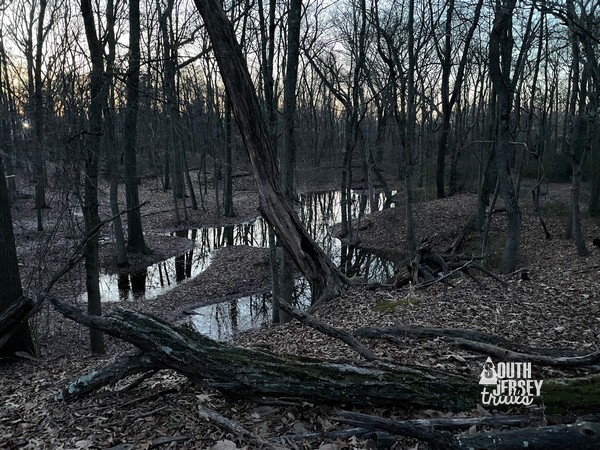 Mitchell Tract – Delran, NJ