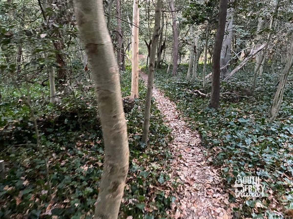 Cove Avenue Park – Northfield, NJ – 0.8 of a mile