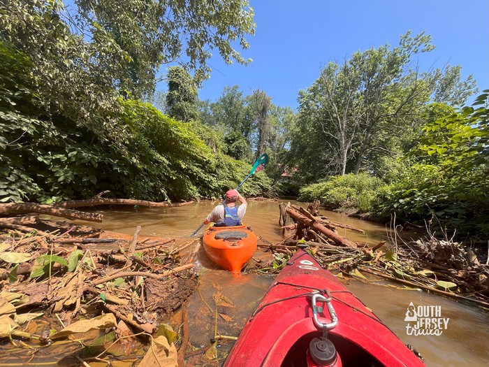 Cooper River Water Trail – Evans Pond to Crows Woods – 2.9 miles round trip