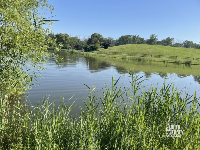 Laurel Acres Nature Trail and Laurel Acres Park – Mount Laurel, NJ